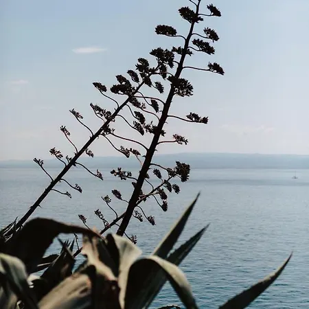 Apartman Daria Daire *