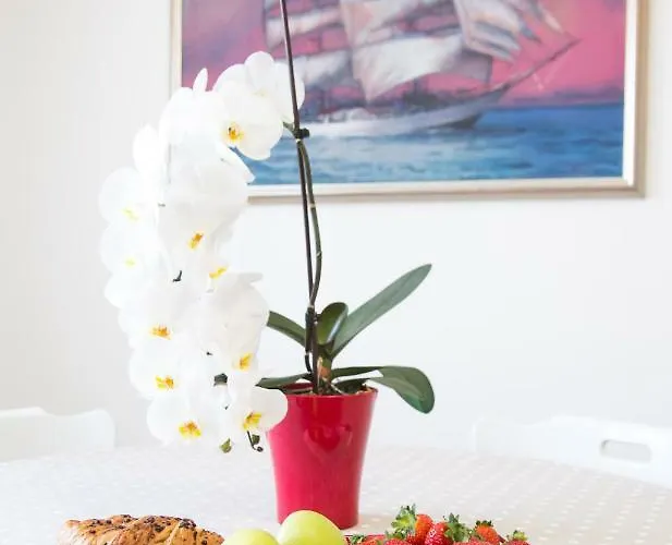 Apartman Daria Διαμέρισμα Σπλιτ