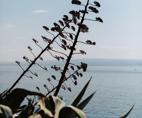 Apartman Daria Διαμέρισμα *